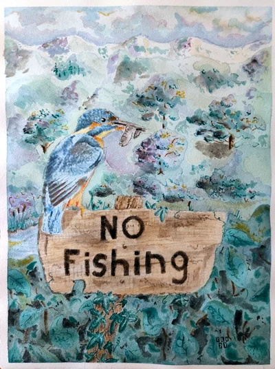 no fishing
