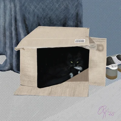 a well-hidden cat peers out from a worn cardboard box, next to a pair of pair of nike sneakers