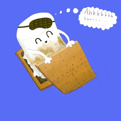 a toasty marshmellow tucks itself into a bed made of chocolate and graham cracker