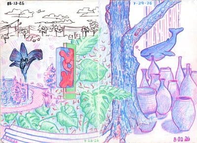 summer scenes
